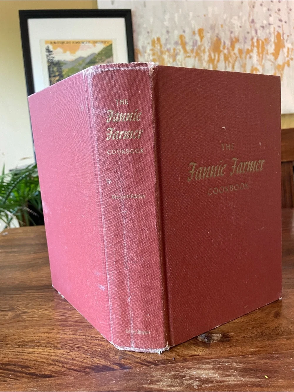 Used books vintage fannie